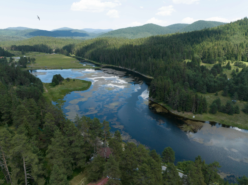 Solent Film, preview of Nature in Bulgaria (4)