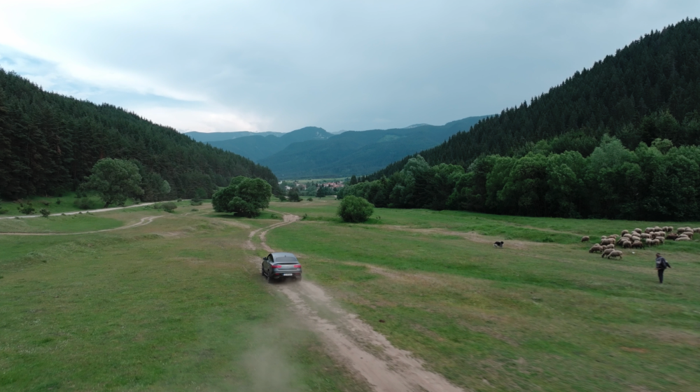 Solent Film, preview of Nature in Bulgaria (5)