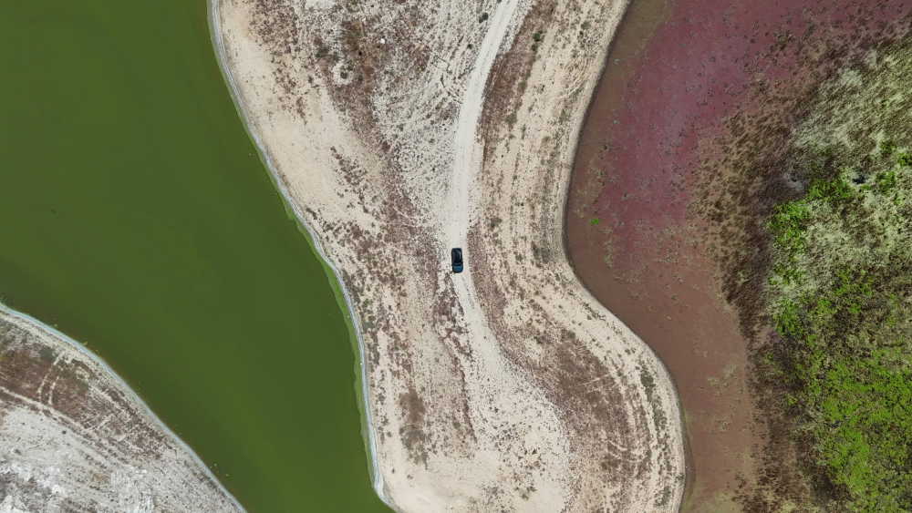 Solent Film, preview of Nature in Bulgaria (6)